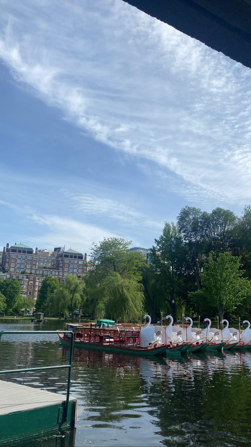 Public Garden in Boston